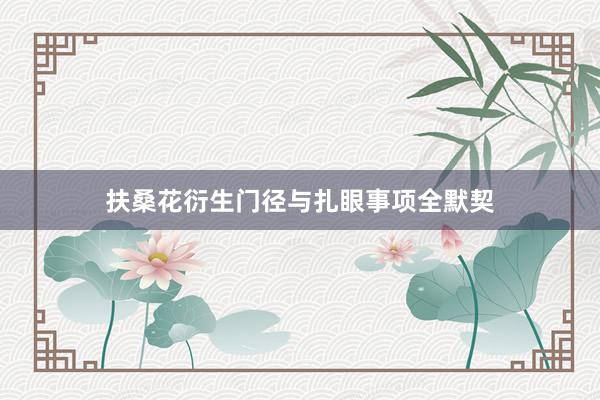 扶桑花衍生门径与扎眼事项全默契