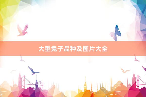 大型兔子品种及图片大全